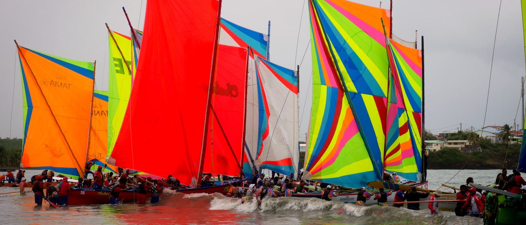 Départ d’une course de yoles rondes en Martinique, voiles multicolores serrées les unes contre les autres, équipages dans l’eau au bord de la plage